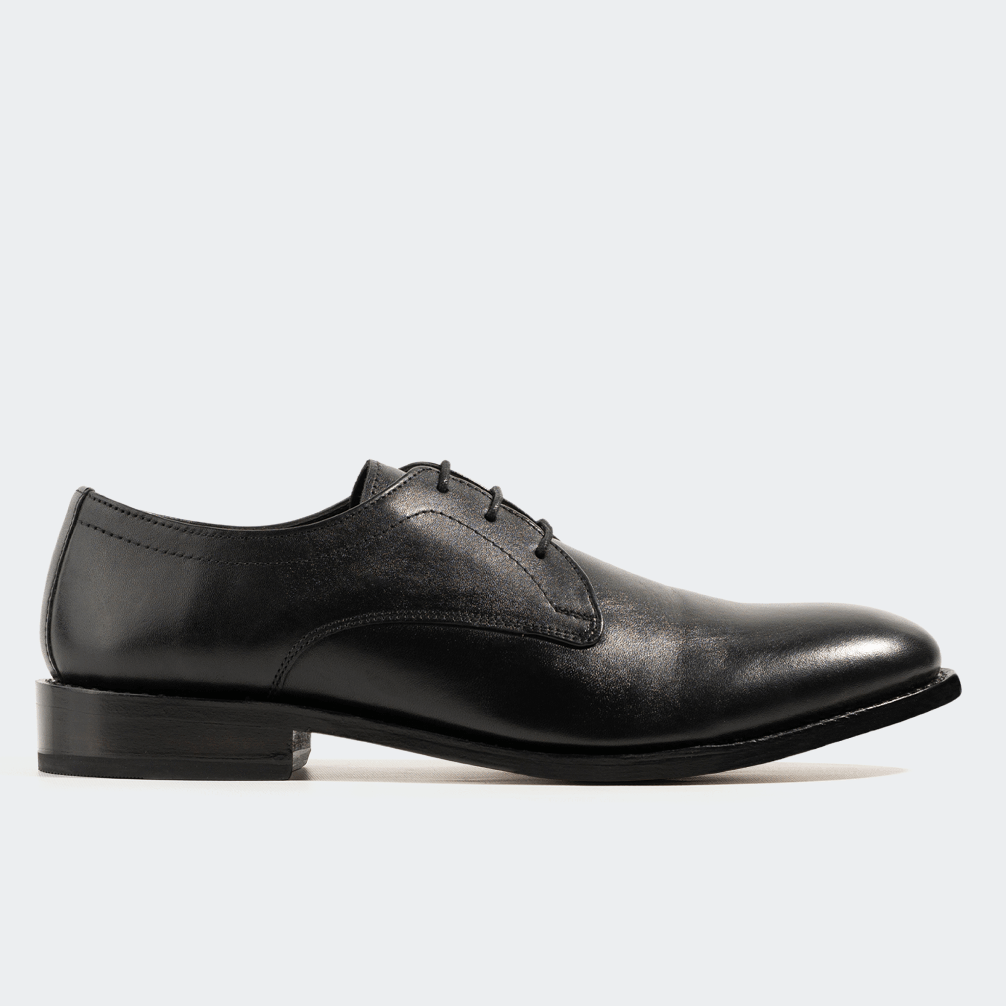 Shelby_60d5eb29-b329-44b1-90f2-a4fd84a661c9.png